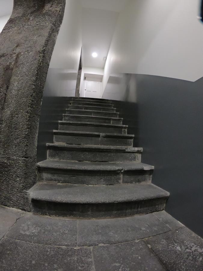Apartamentos Da Queimada ฟุงชาล ภายนอก รูปภาพ